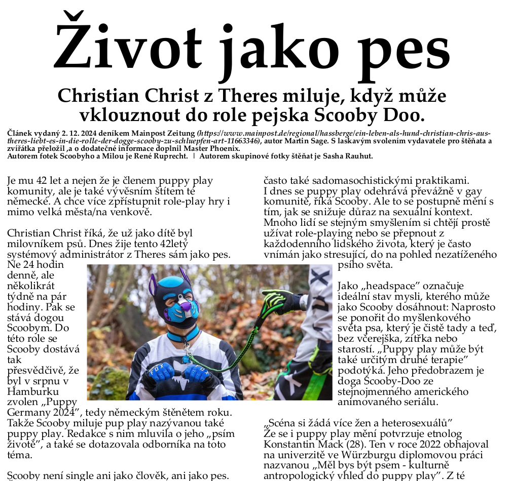 Stáhnout jako PDF