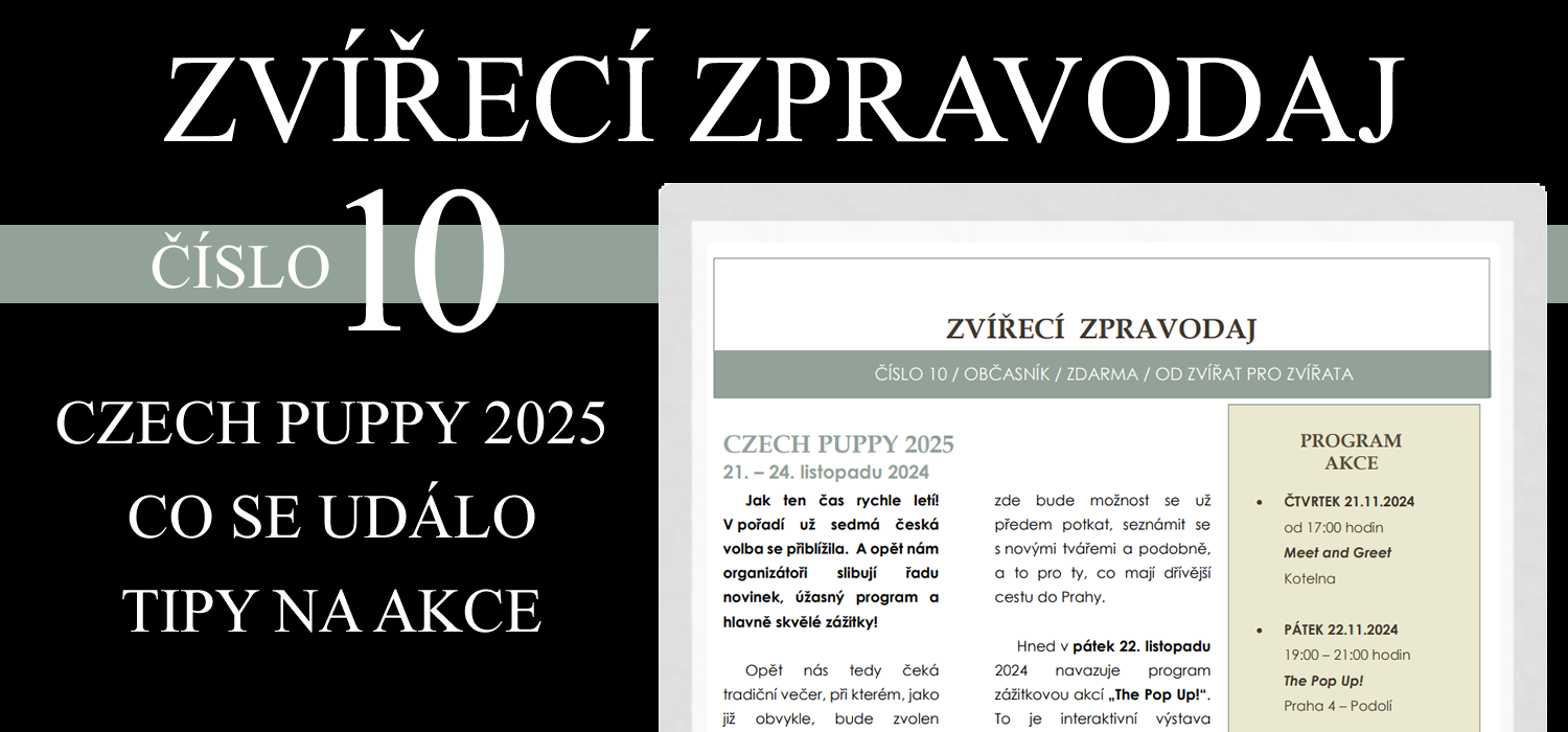 Stáhnout jako PDF