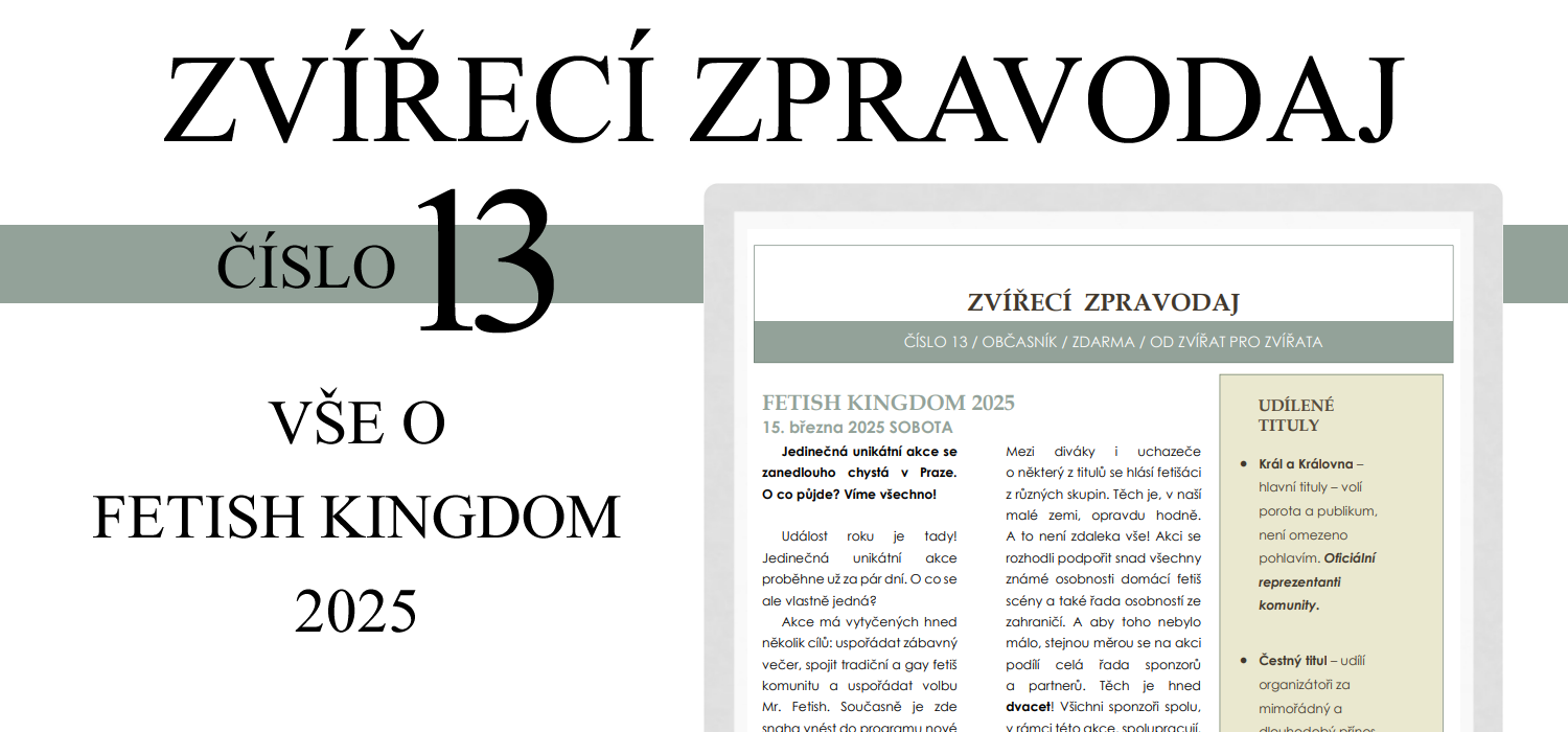 Stáhnout jako PDF